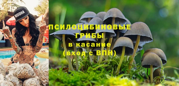 мескалин Белоозёрский