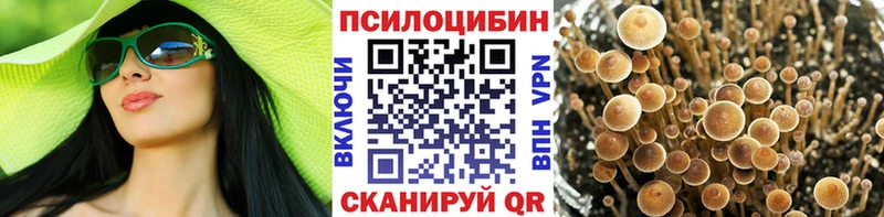 где найти   MEGA сайт  Псилоцибиновые грибы GOLDEN TEACHER  Гай 