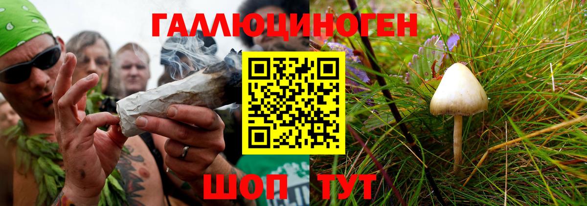 магазин  наркотиков  Галлюциногенные грибы MAGIC MUSHROOMS  Вход с VPN  Гай 