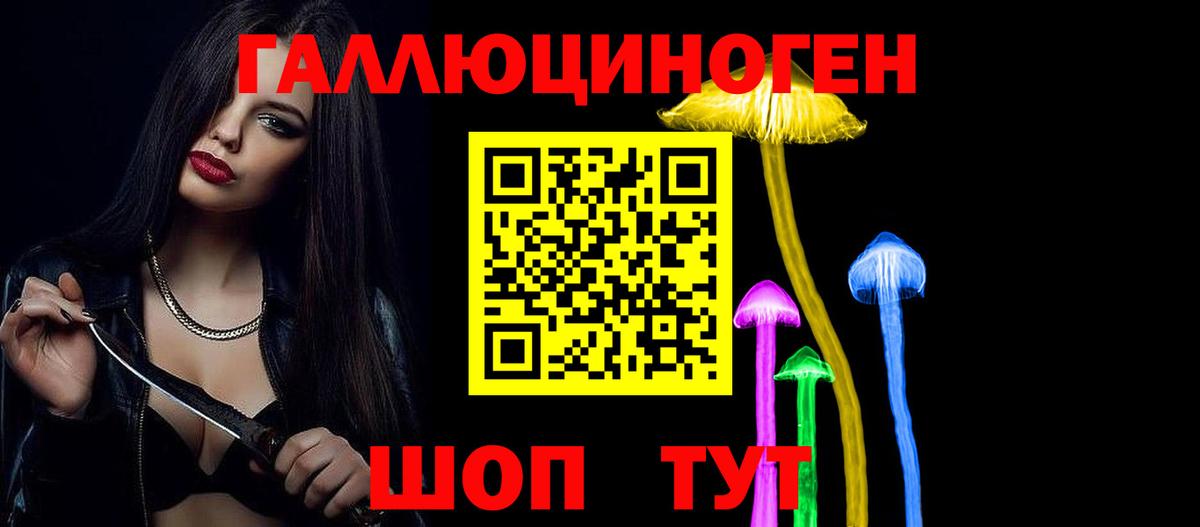 Галлюциногенные грибы GOLDEN TEACHER  купить наркоту  Гай 