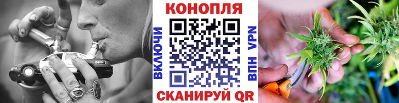ОМГ ОМГ вход  Гай  Шишки марихуана ГИДРОПОН 