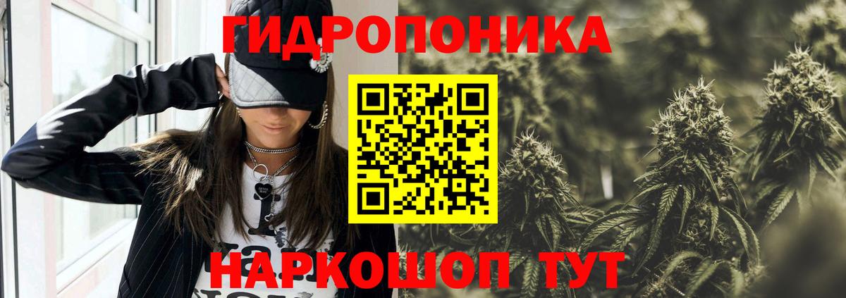 Конопля план Гай