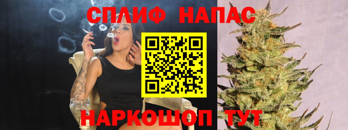 Бошки марихуана индика Гай